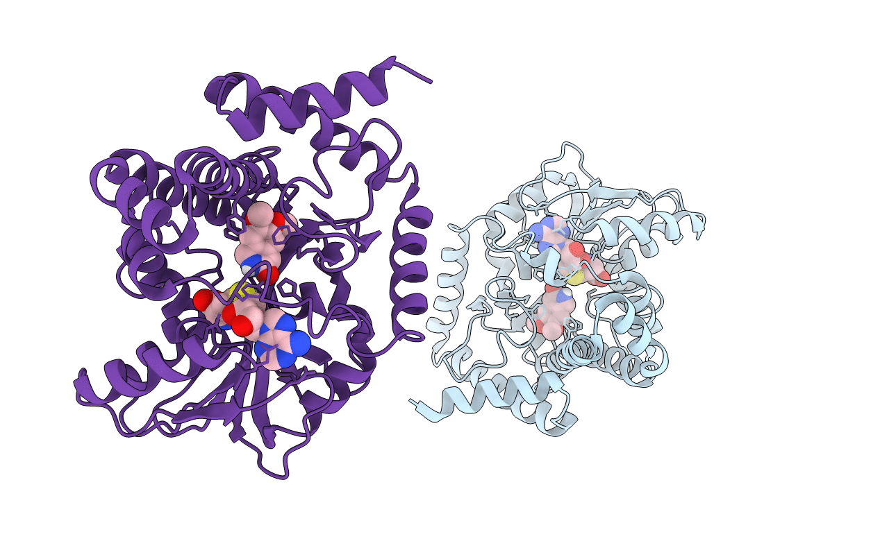 6GKY image