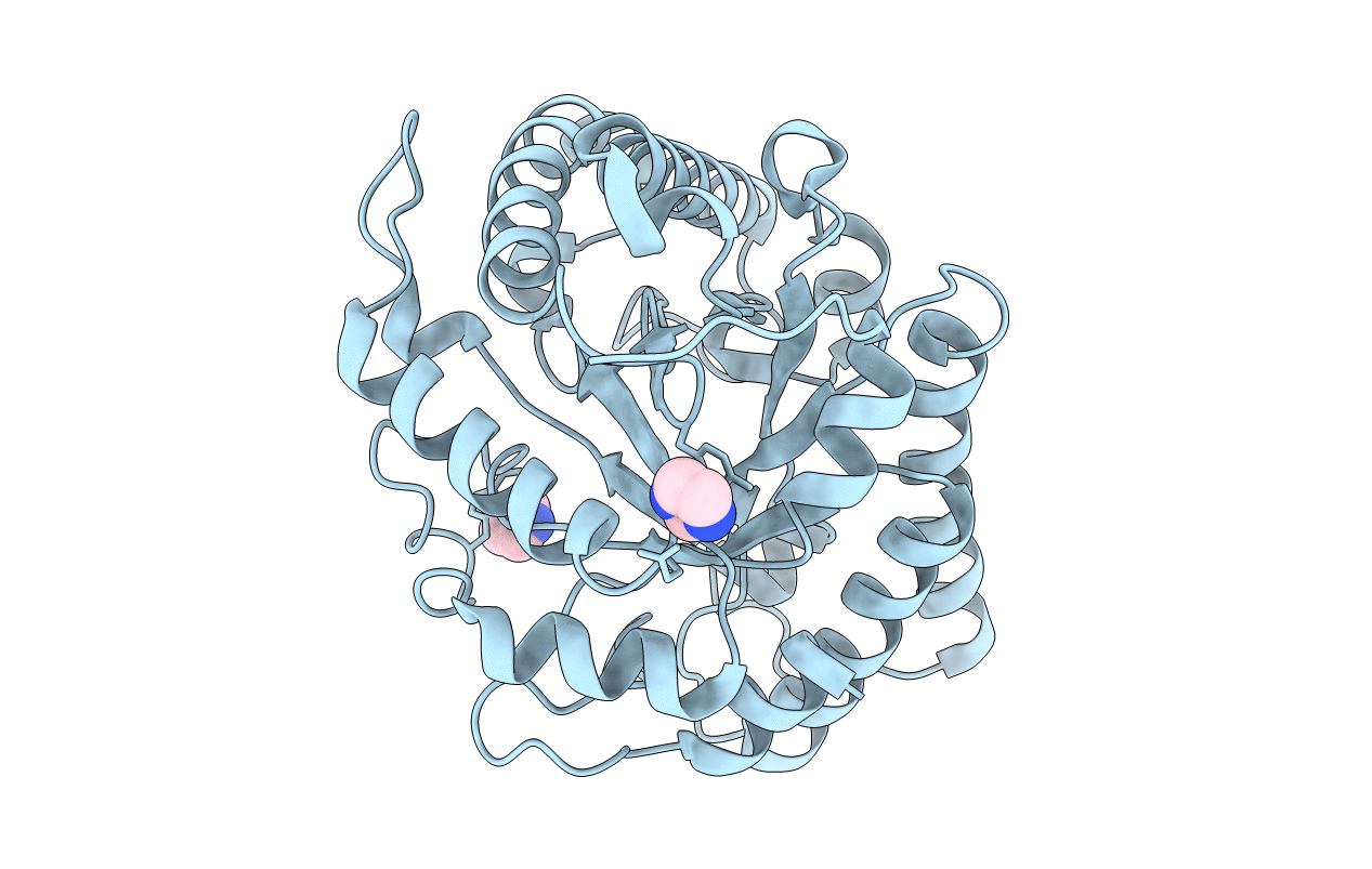 6GL2 image
