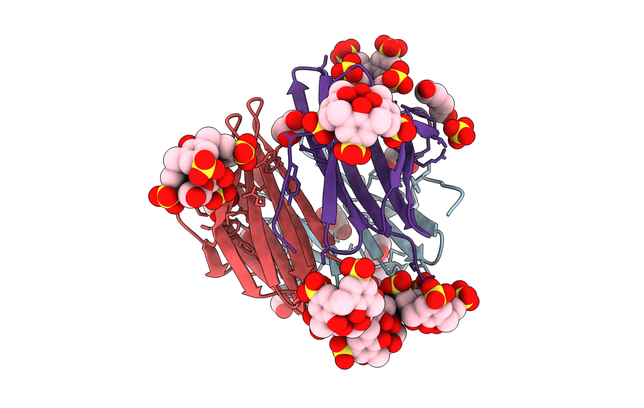 6GL5 image