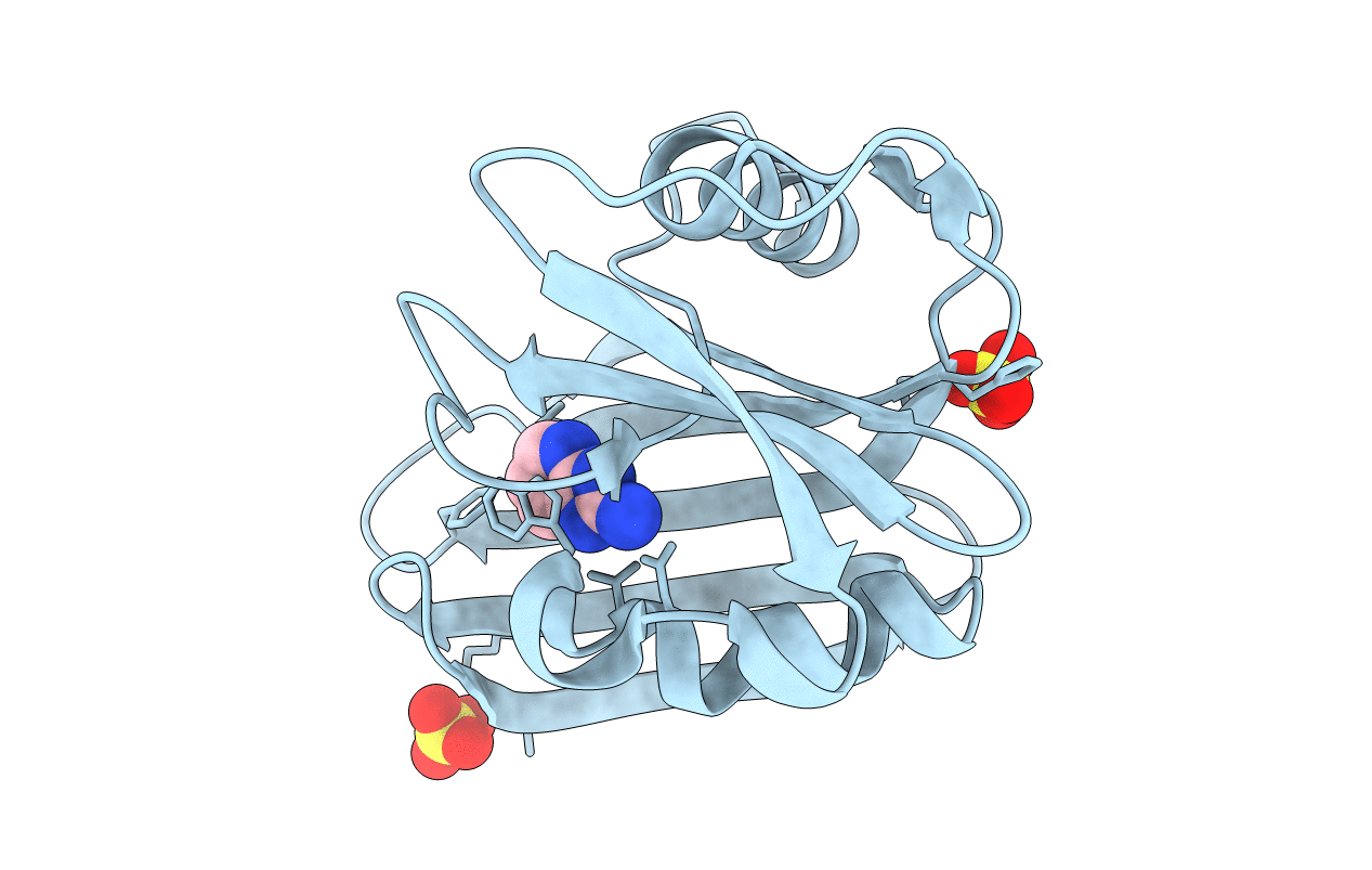 6GLM image