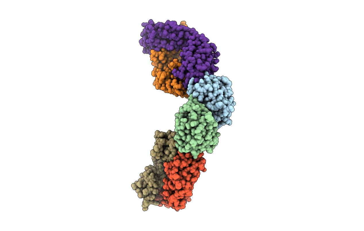 6GLX image