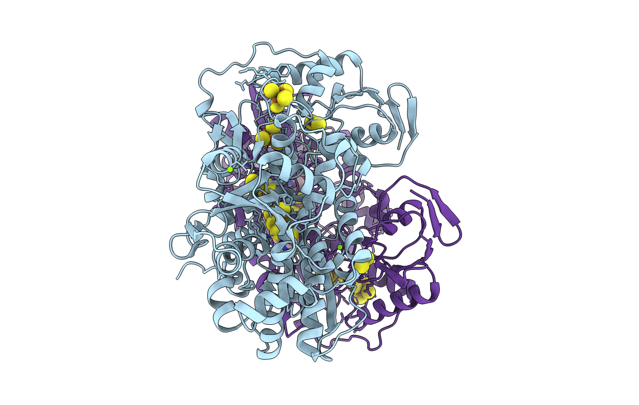 6GM4 image