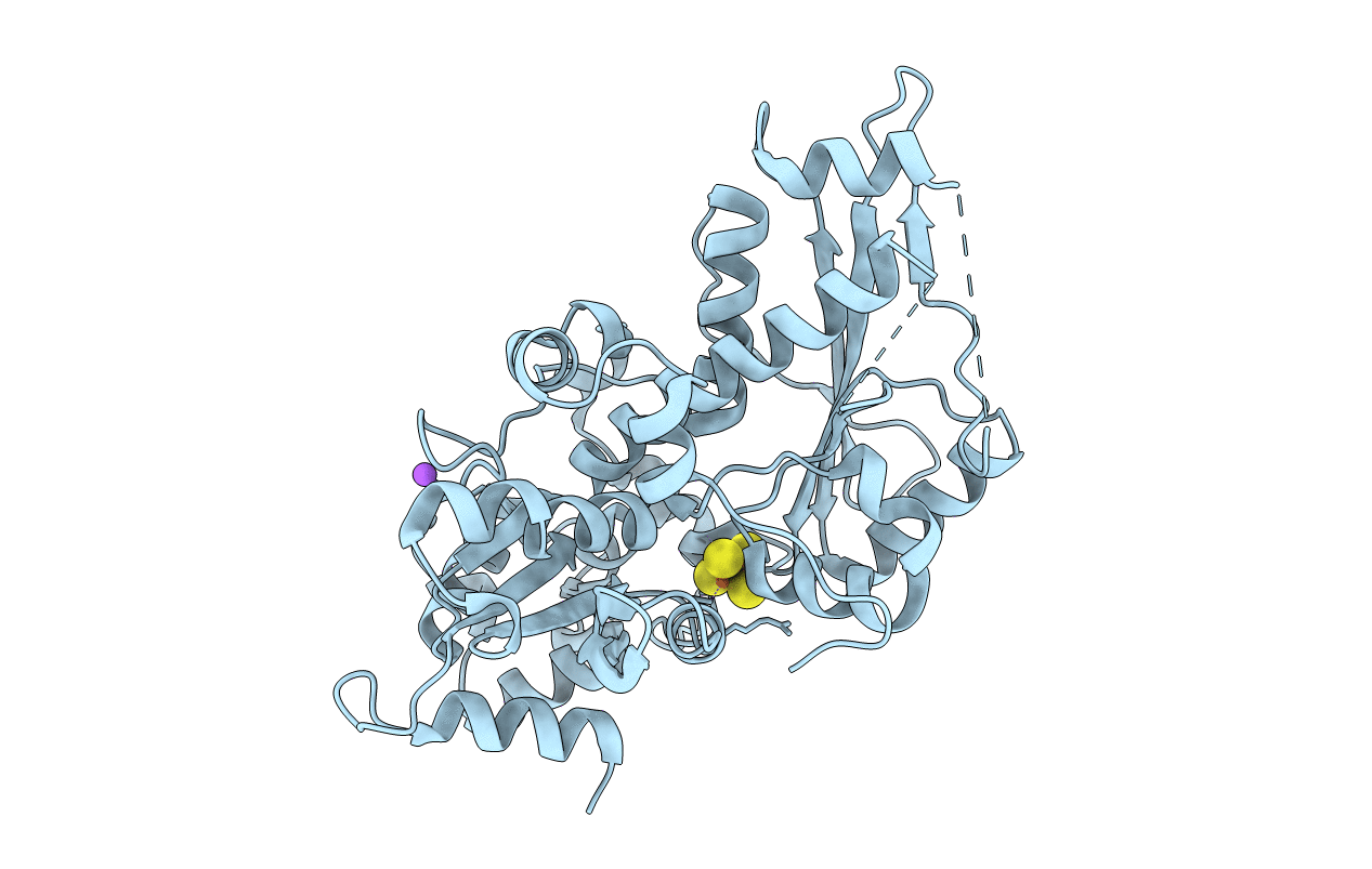 6GM6 image