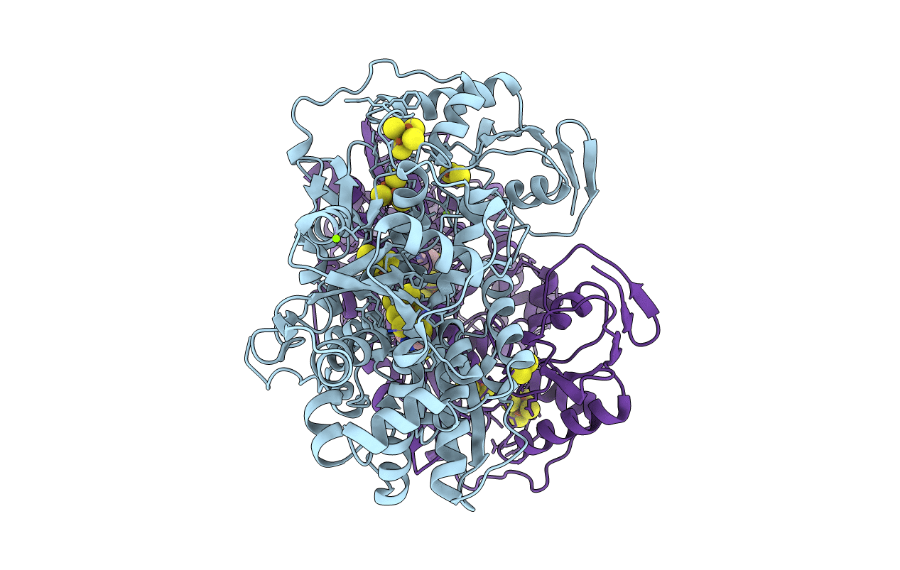 6GM8 image