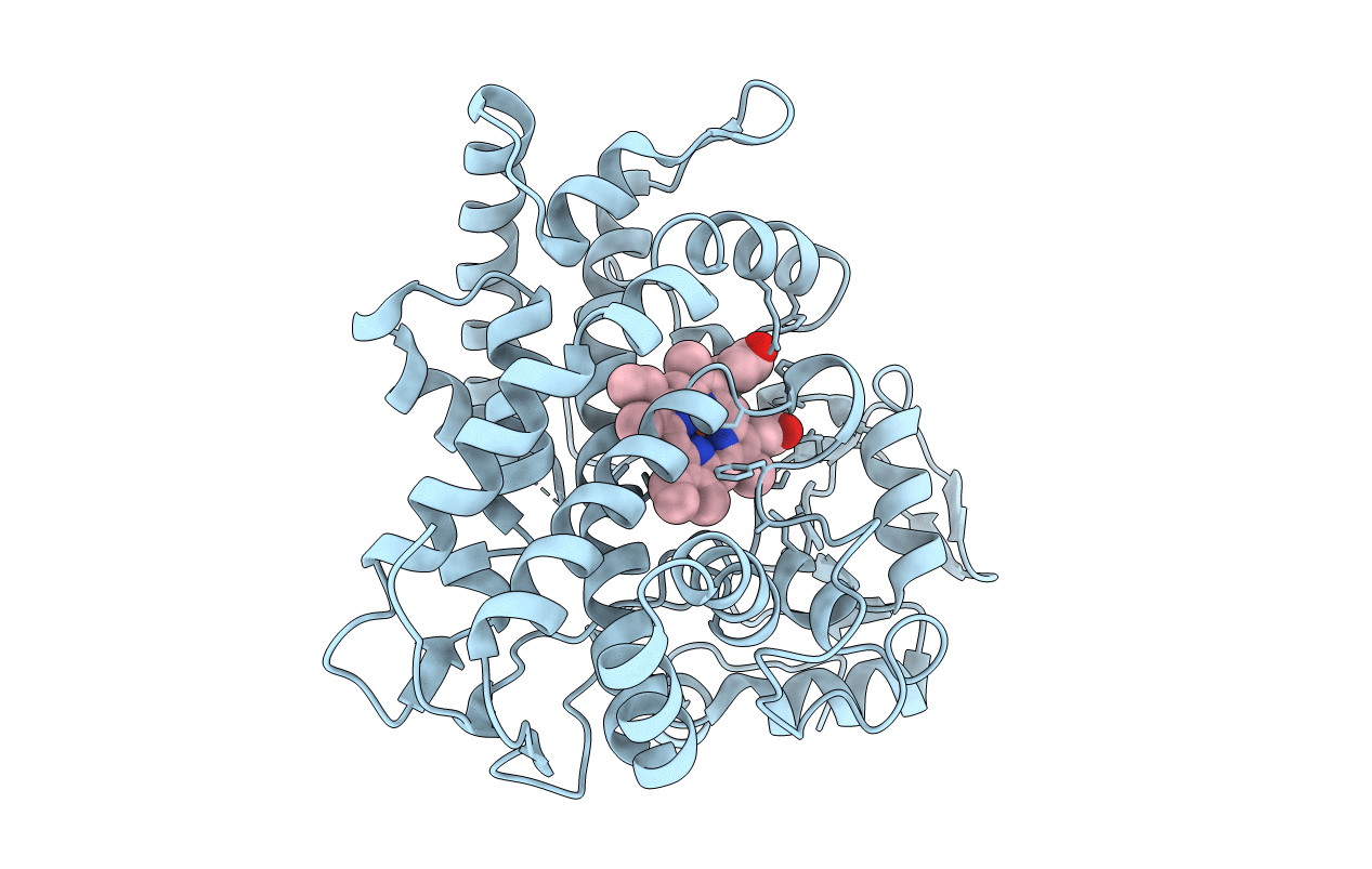 6GMF image
