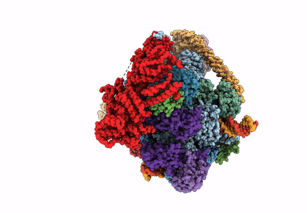 6GMH image