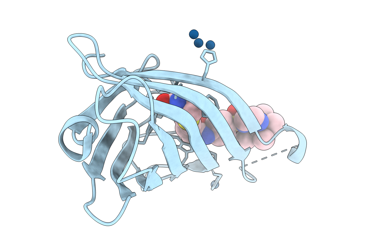 6GMI image