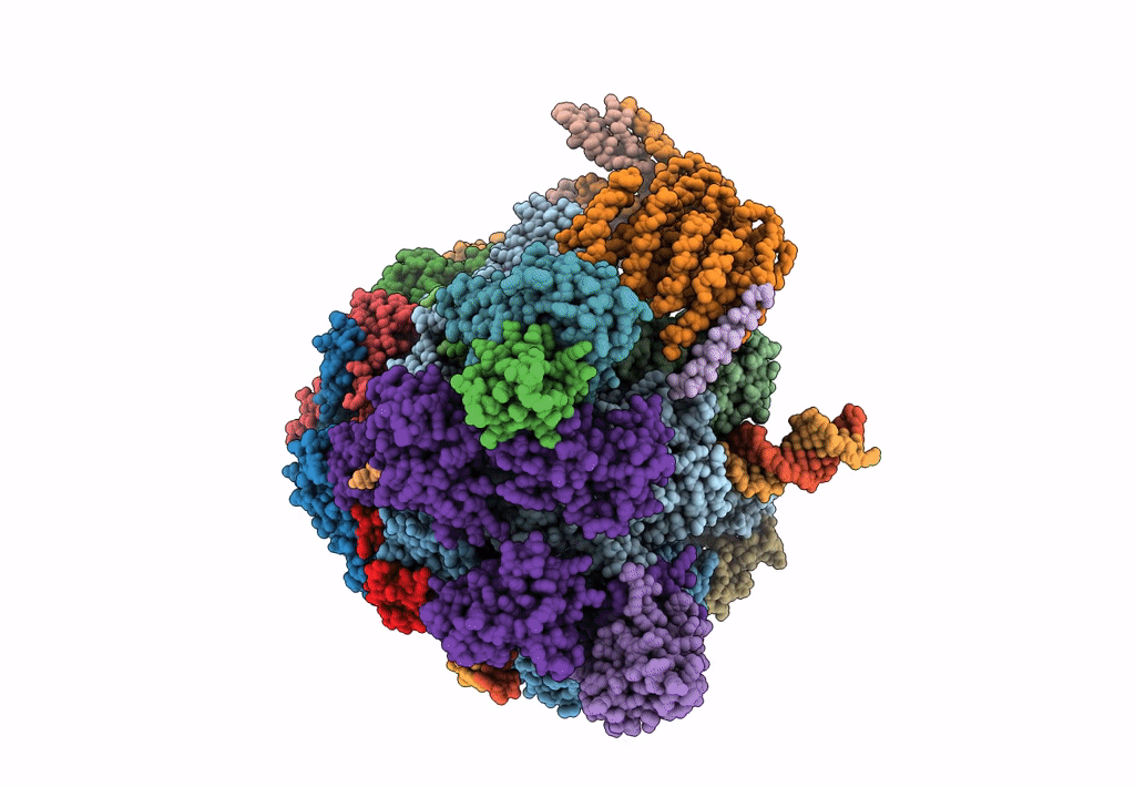 6GML image