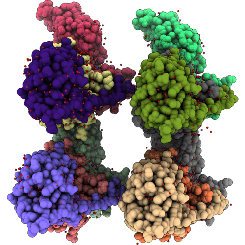 6GMN image