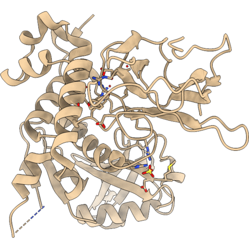 6GMR image