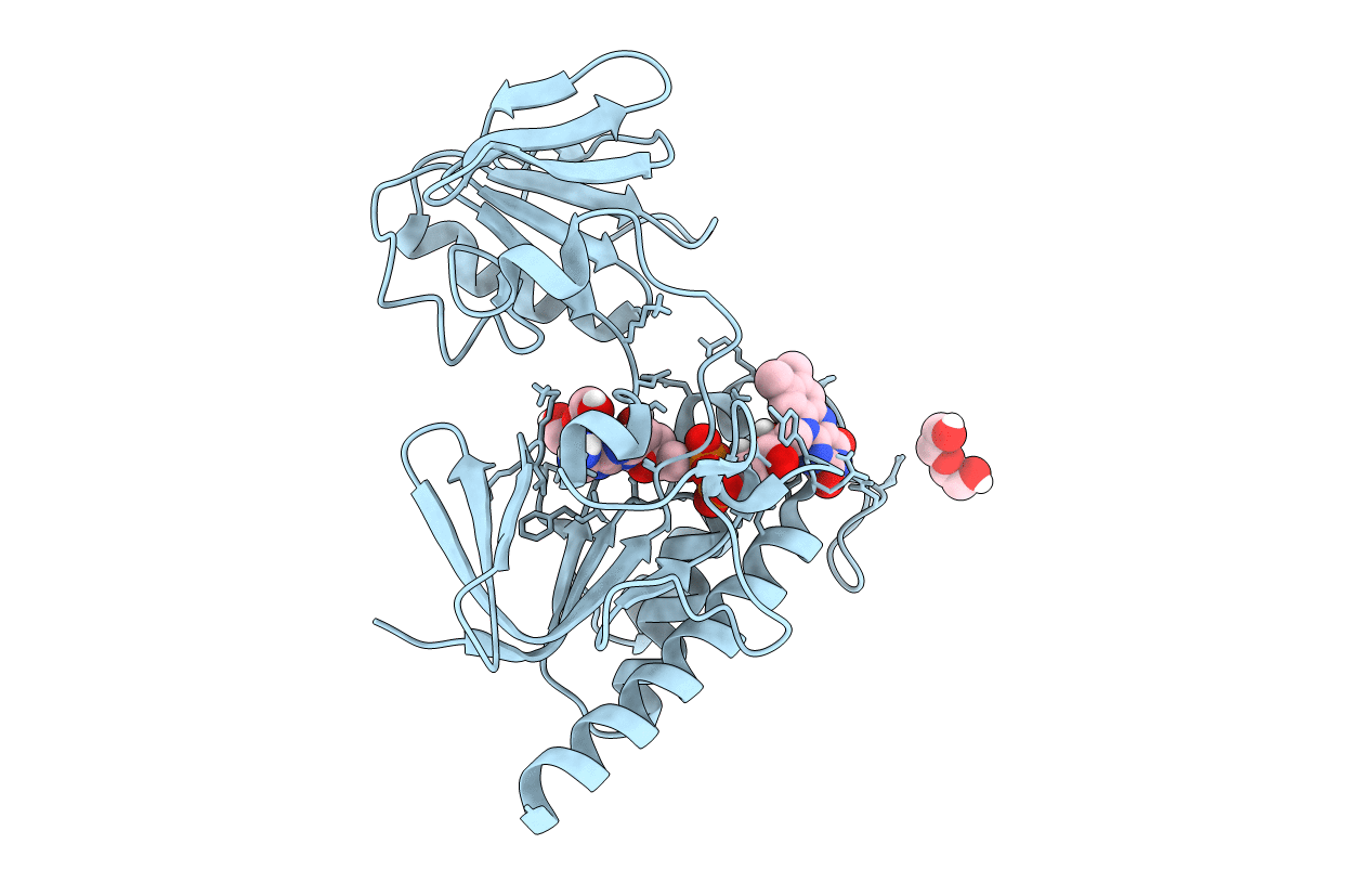 6GNC image