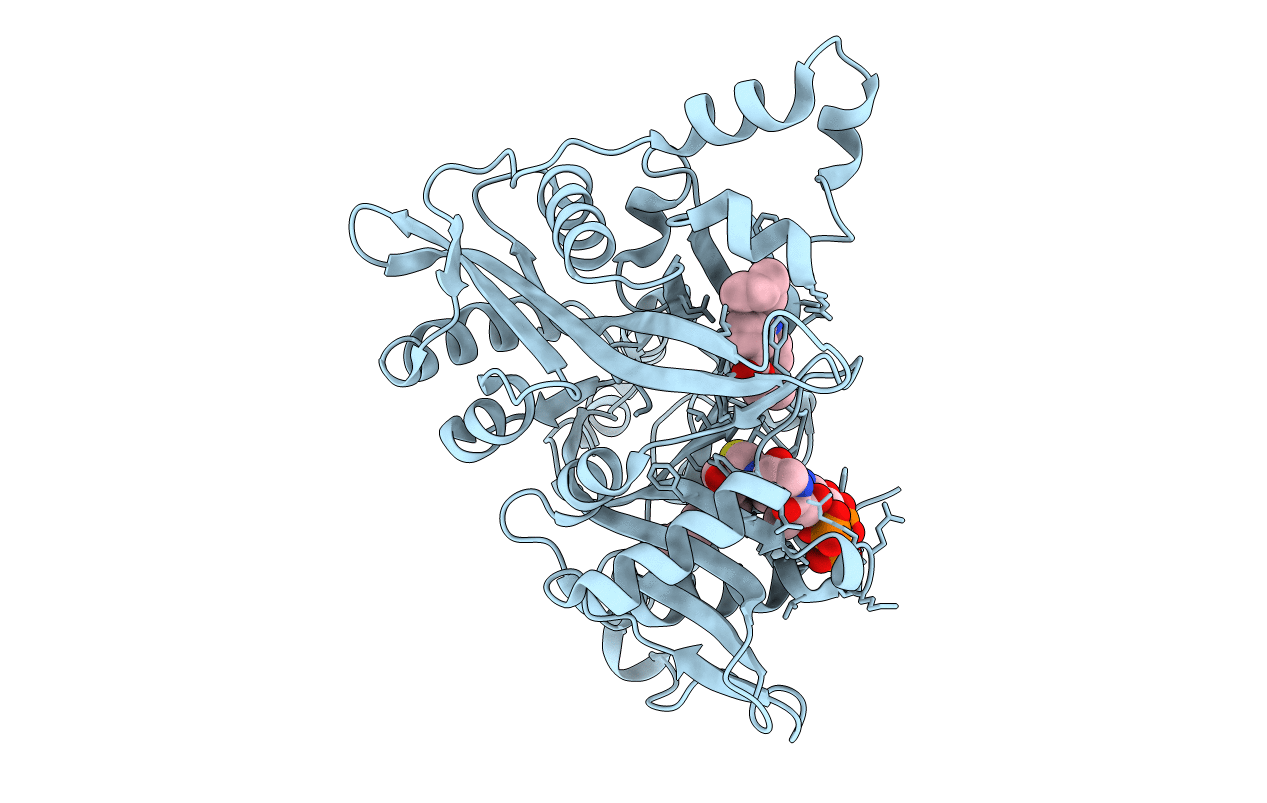 6GNH image