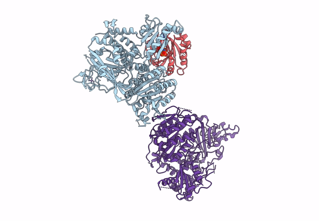 6GNI image