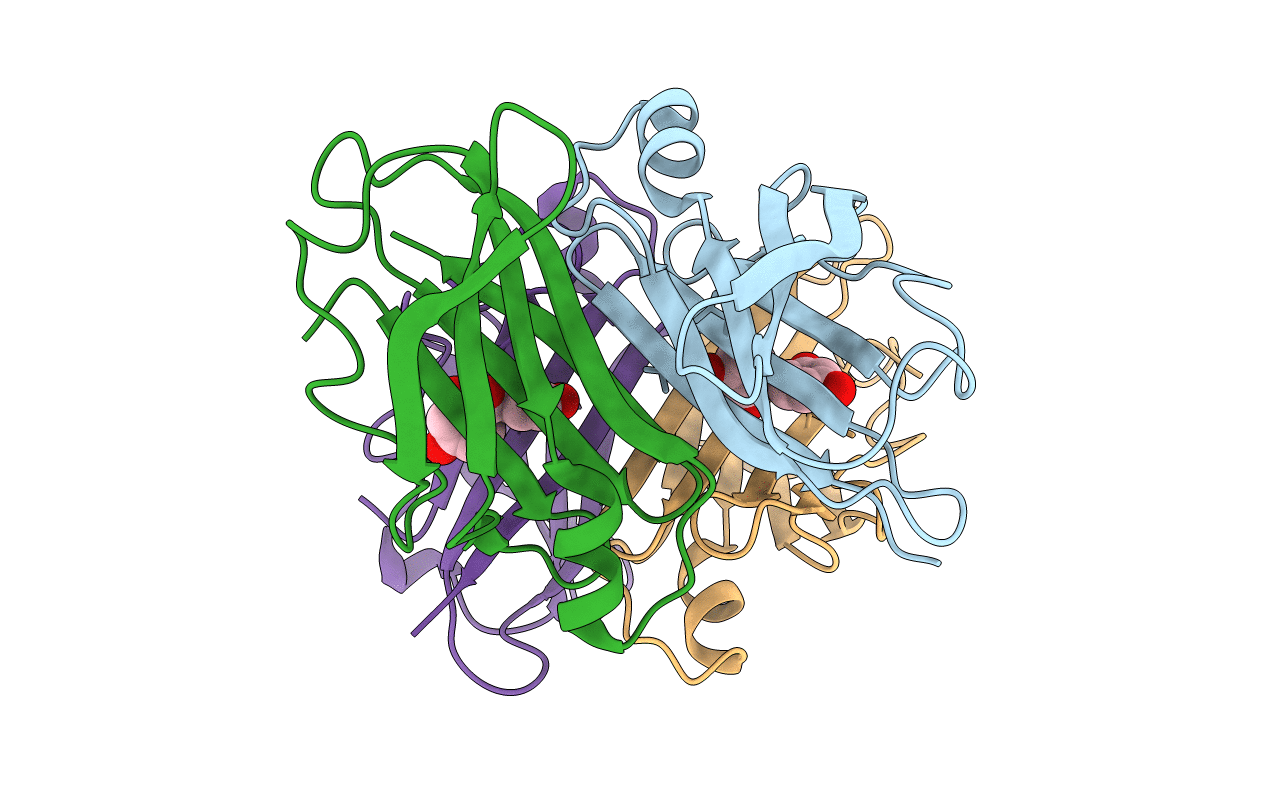 6GNM image