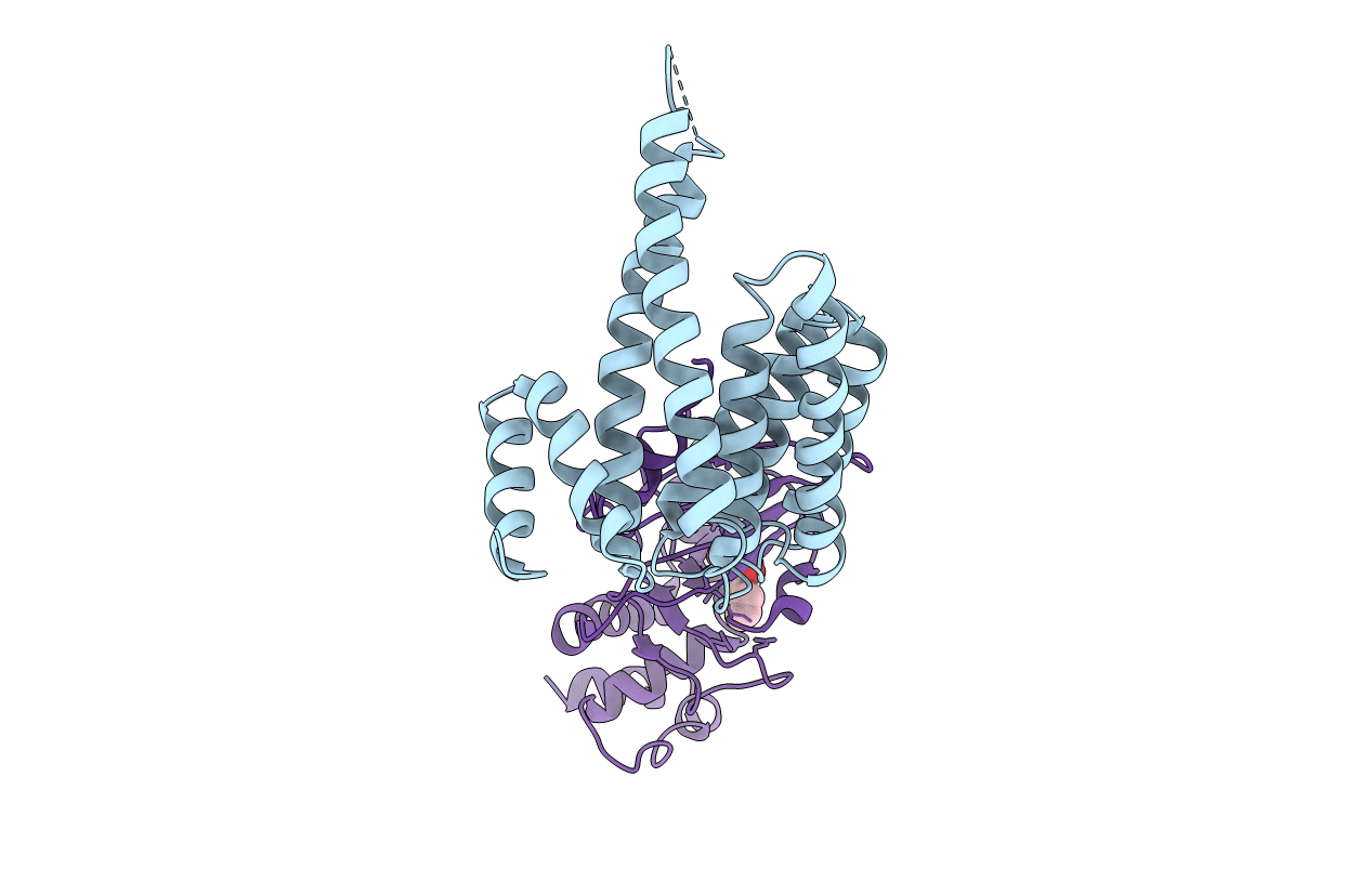6GNN image