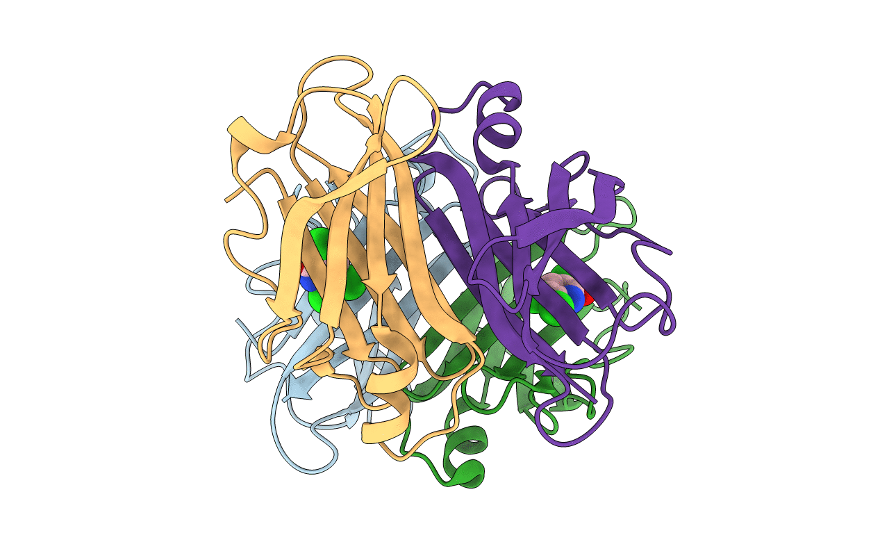6GNP image