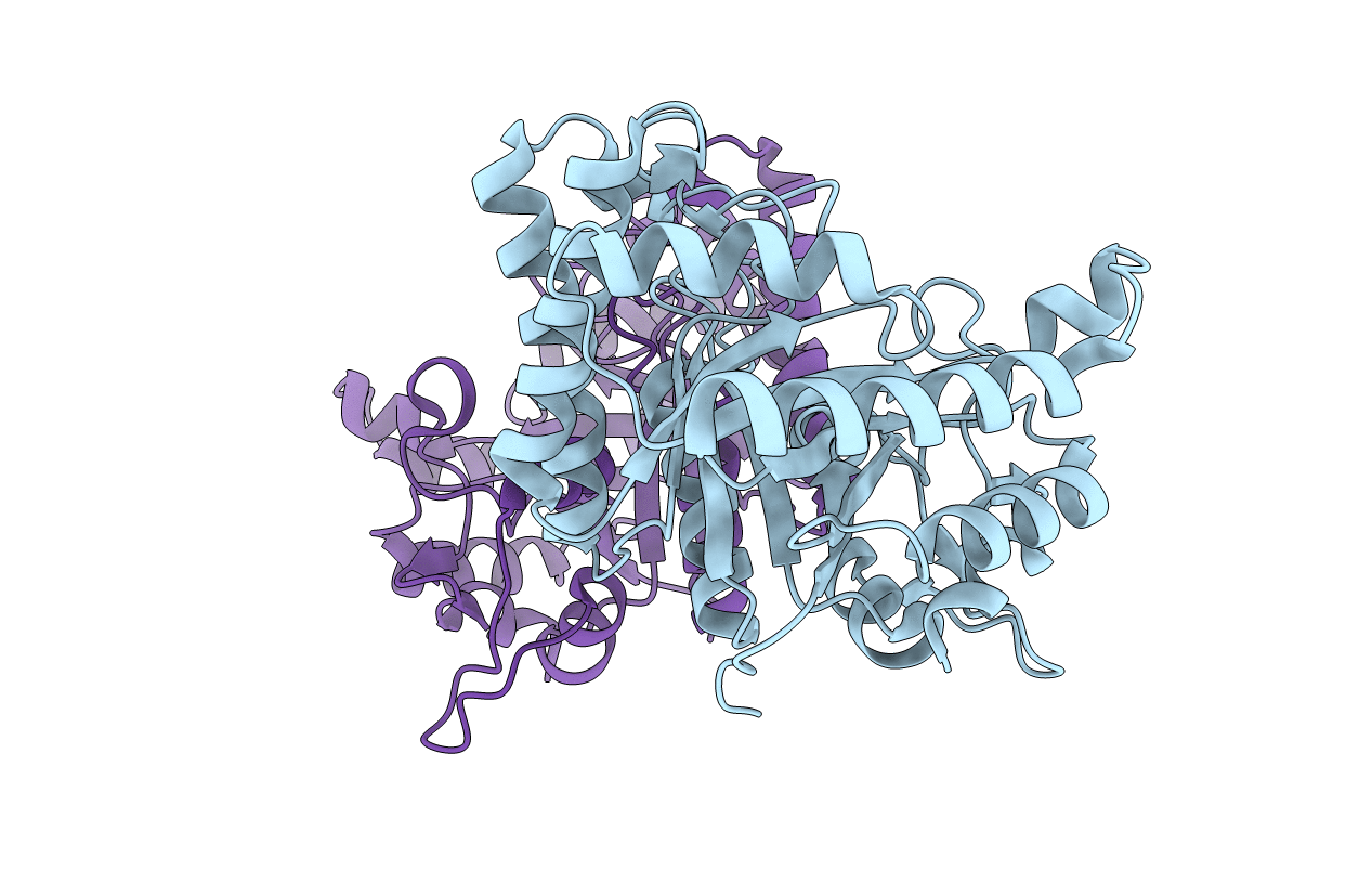 6GP5 image