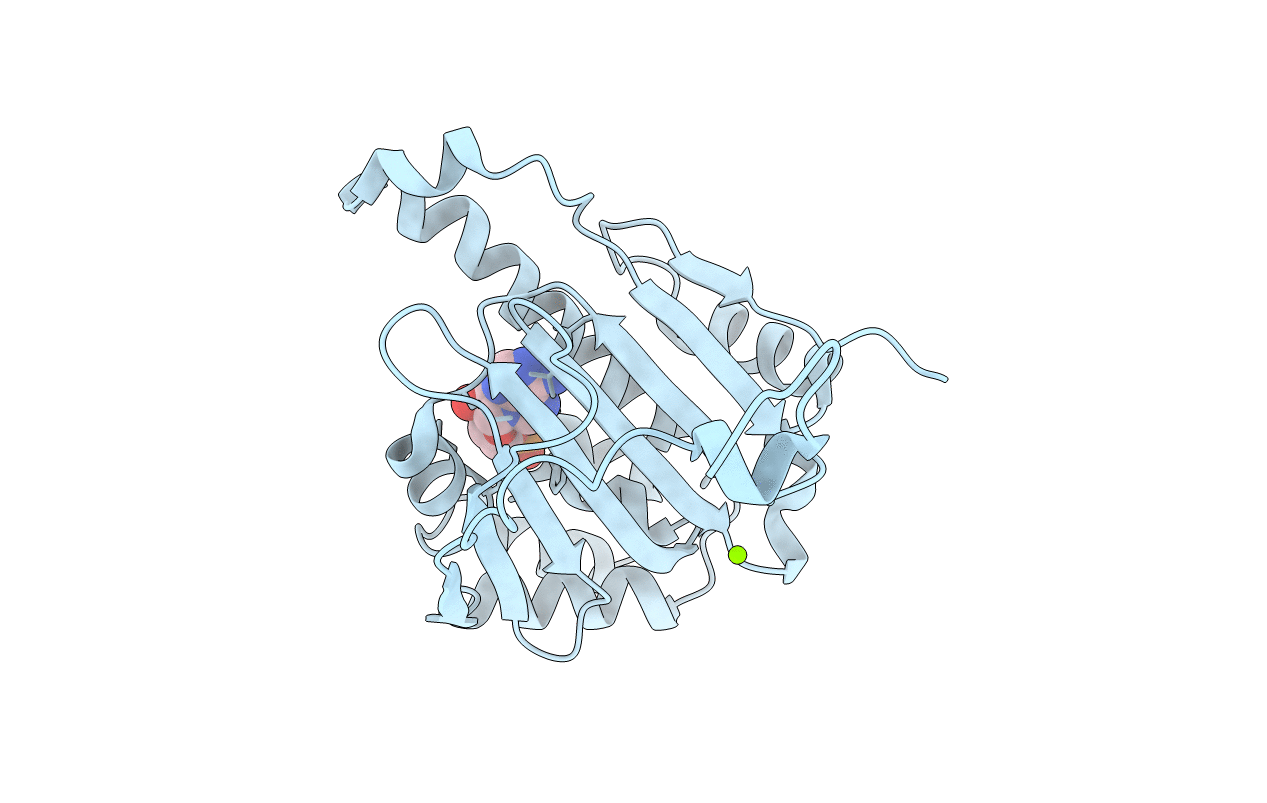 6GP8 image