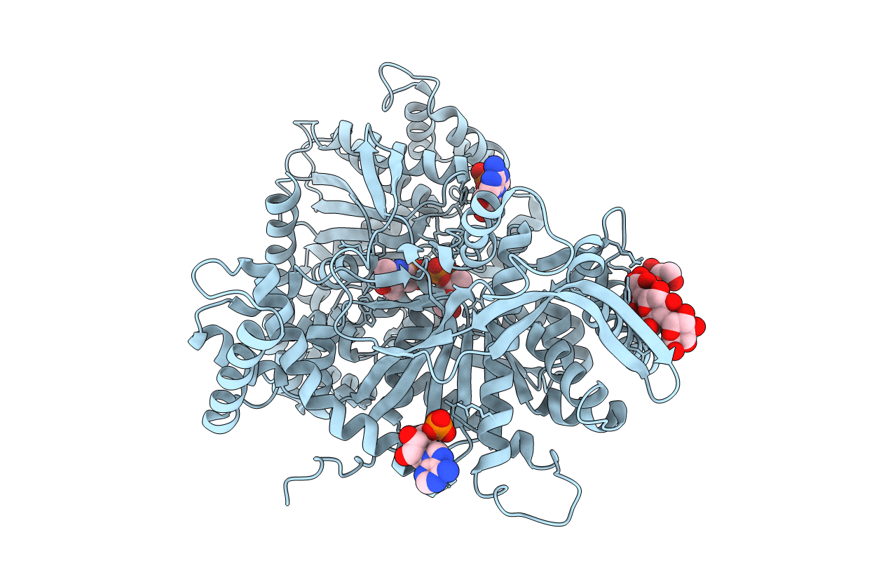 6GPB image