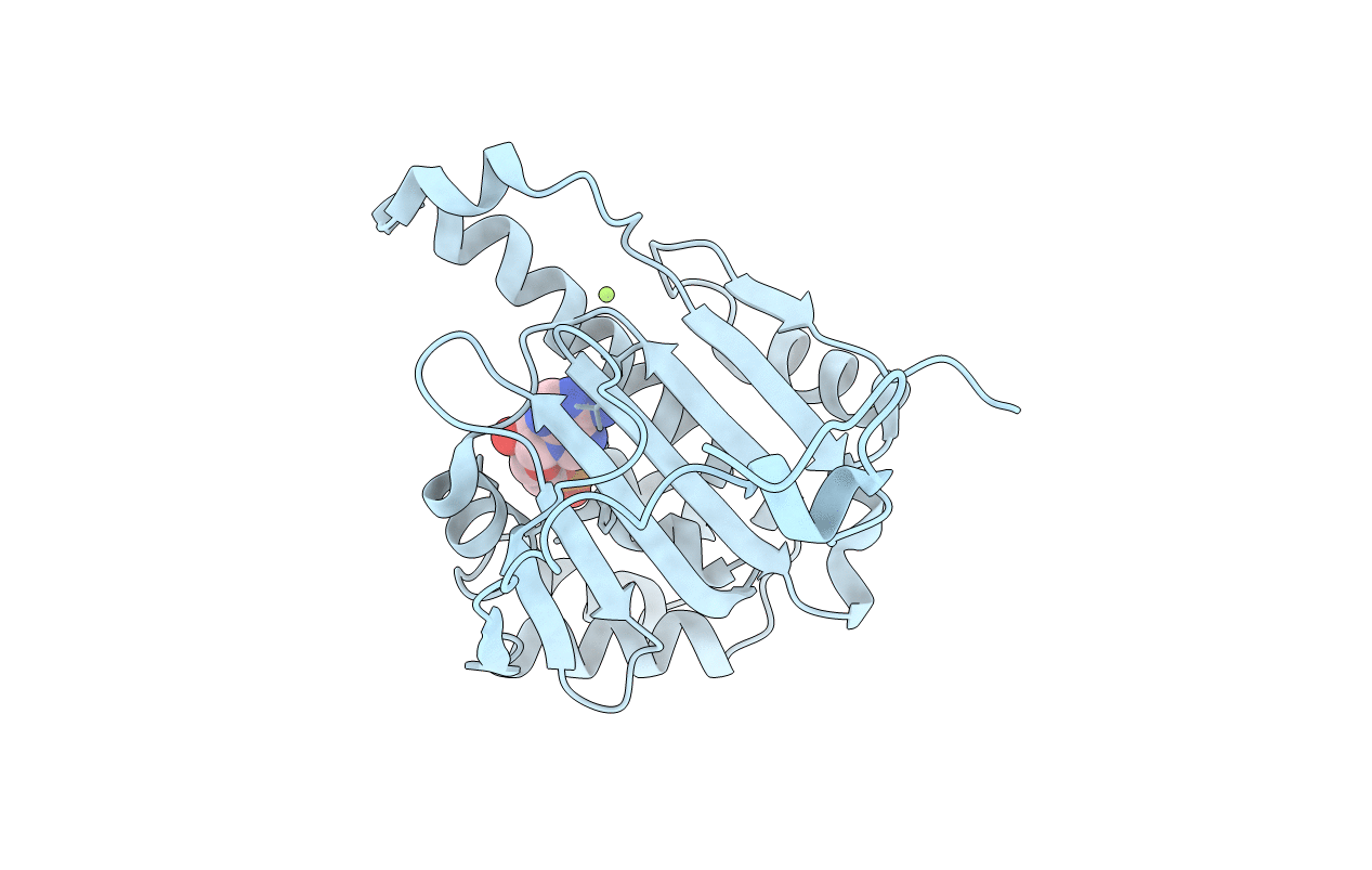 6GPH image