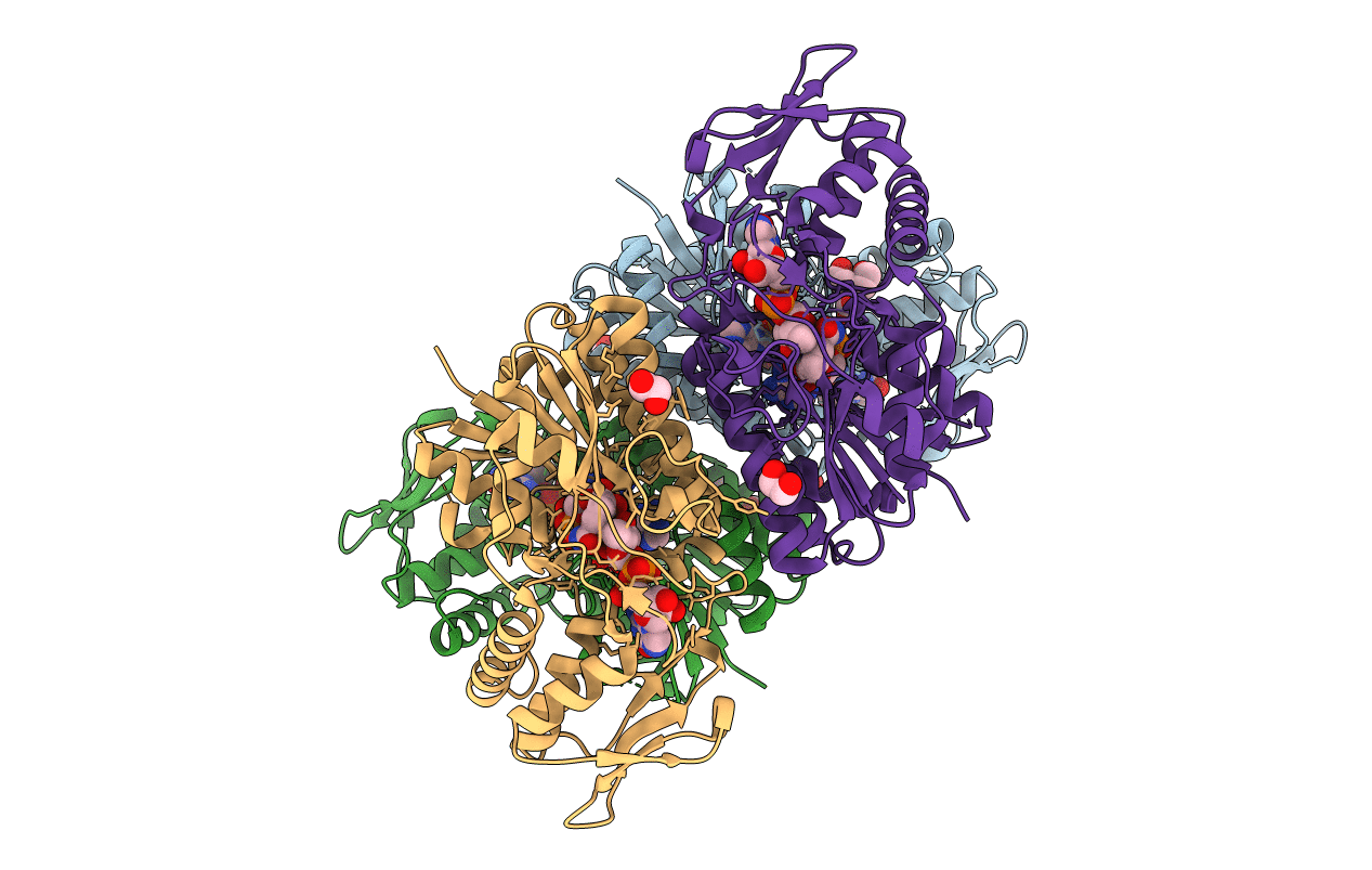 6GPL image