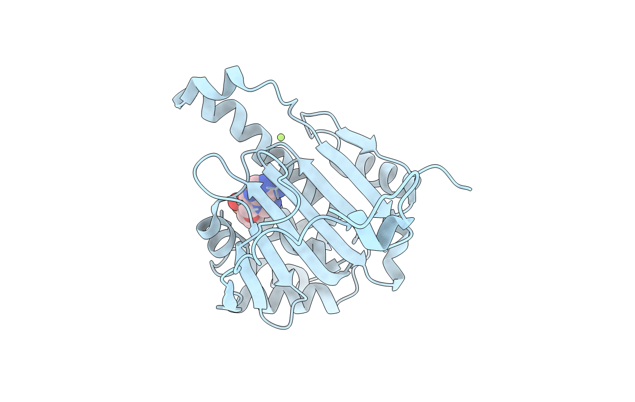 6GPO image