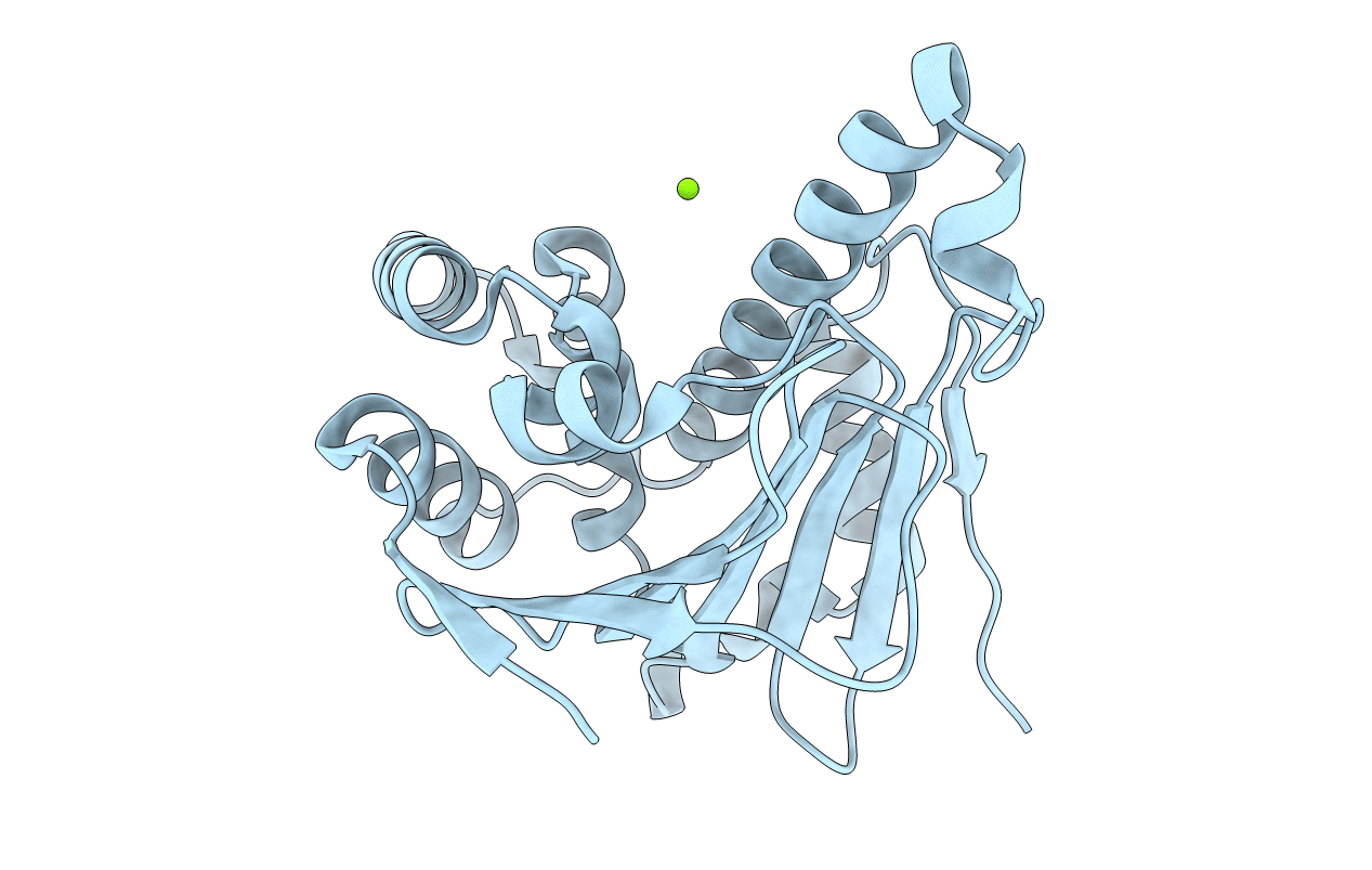 6GPW image
