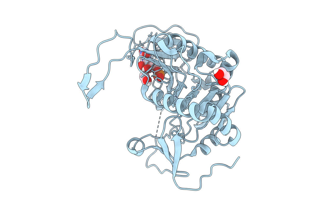 6GQD image