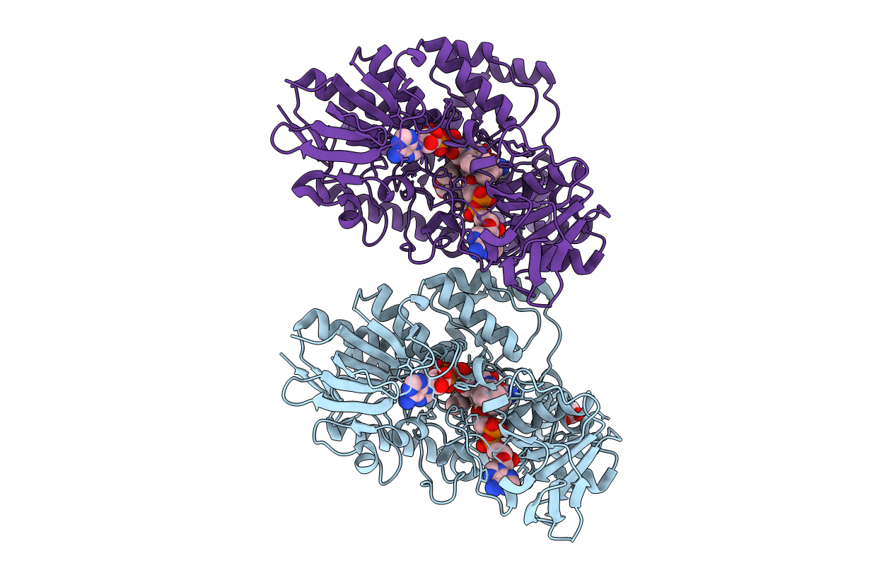 6GQI image