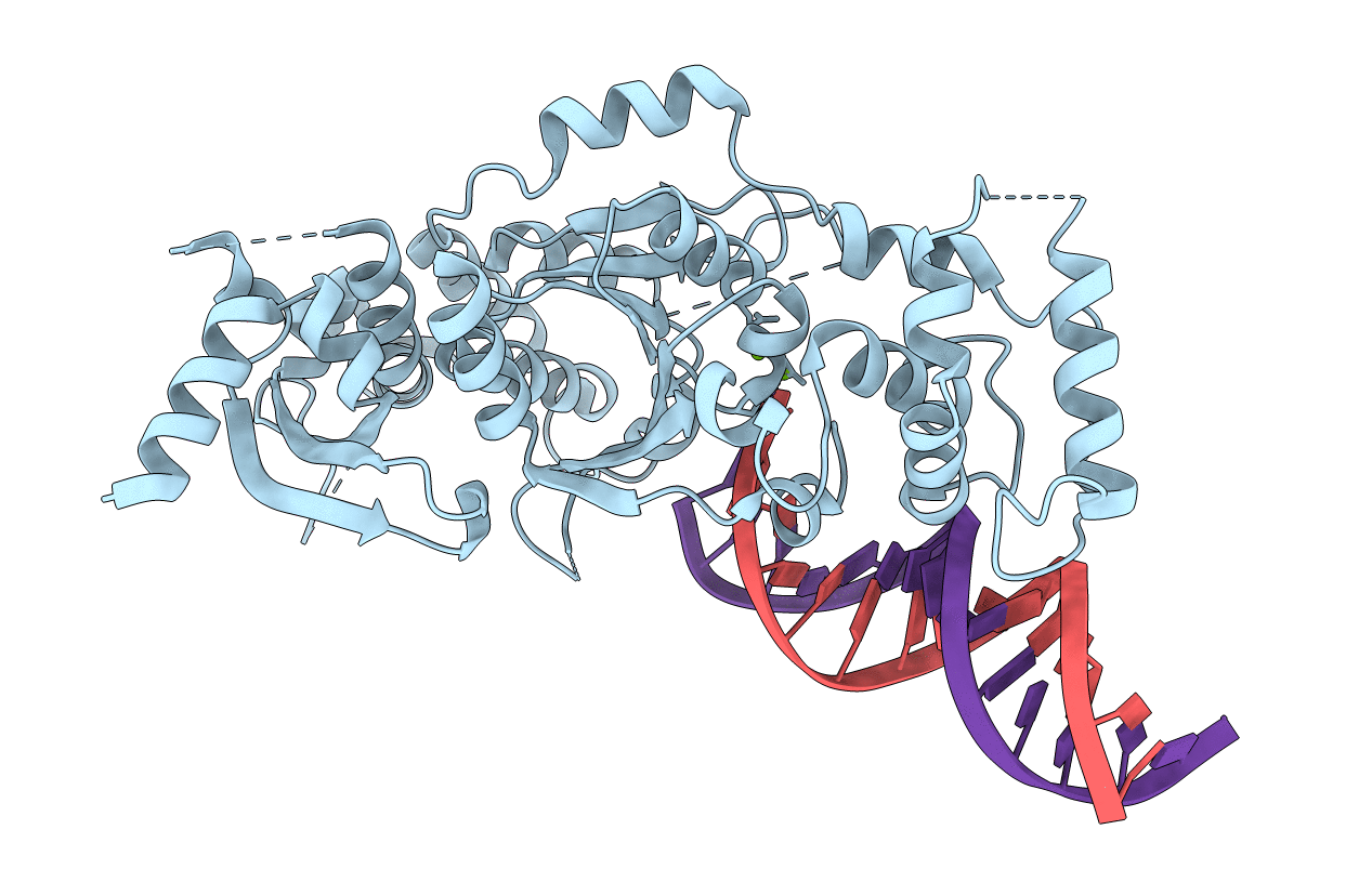 6GRB image