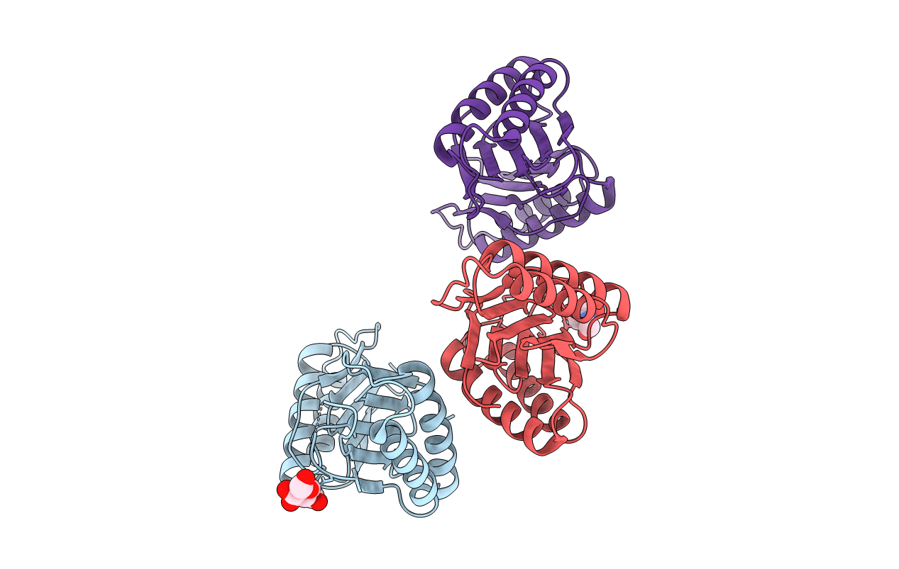 6GRF image