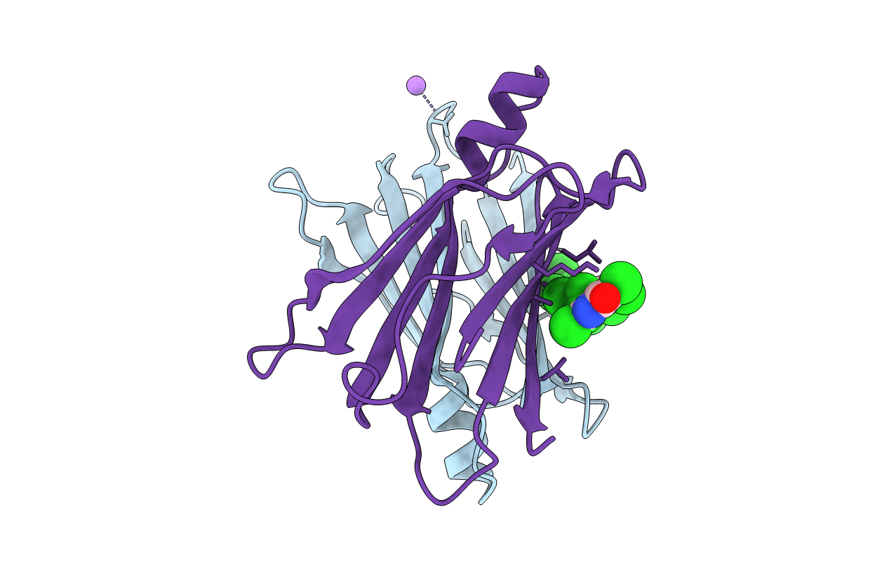 6GRP image