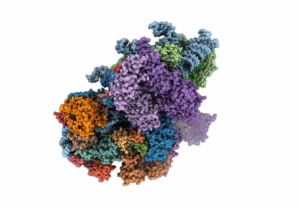 6GSN image