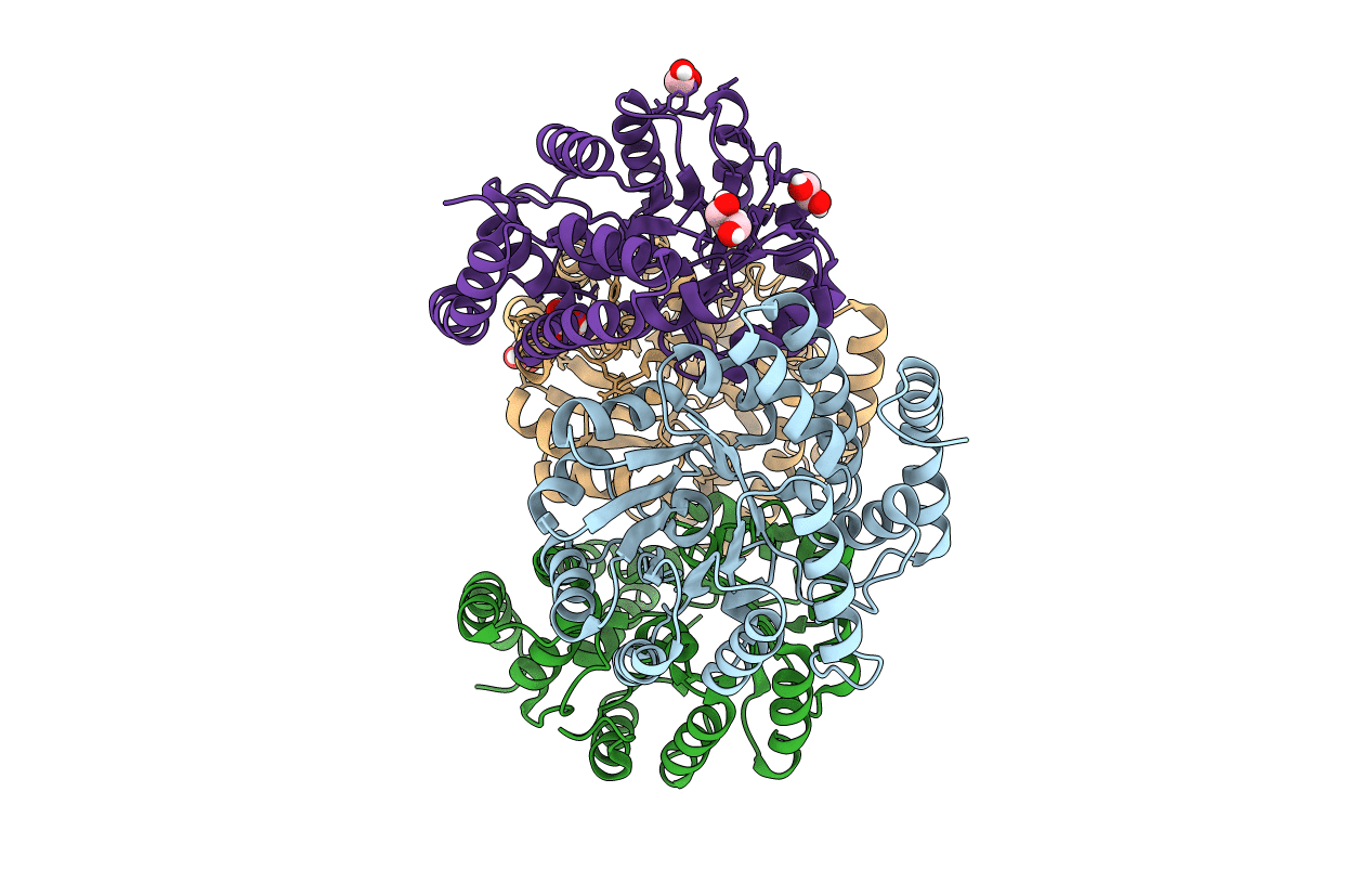 6GSO image