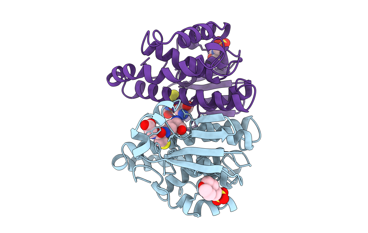 6GSS image
