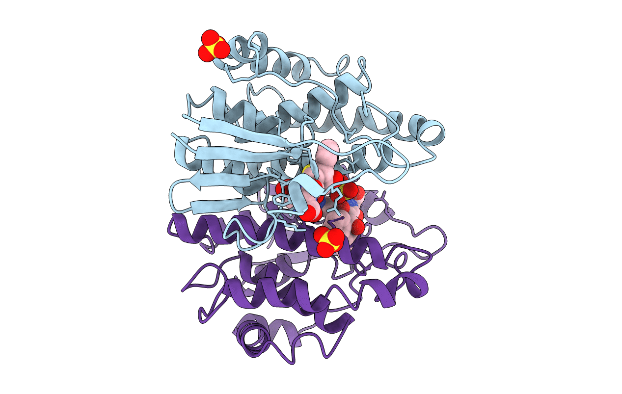 6GSU image
