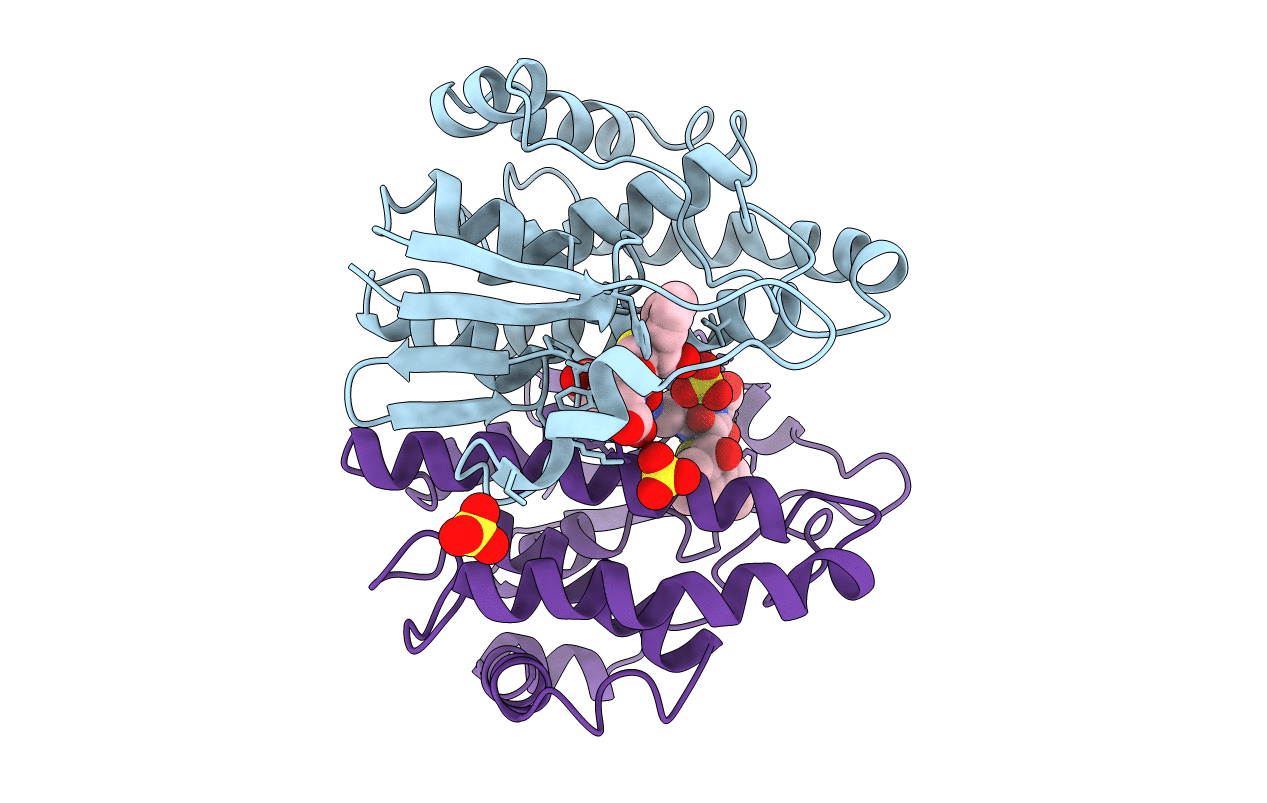 6GSW image