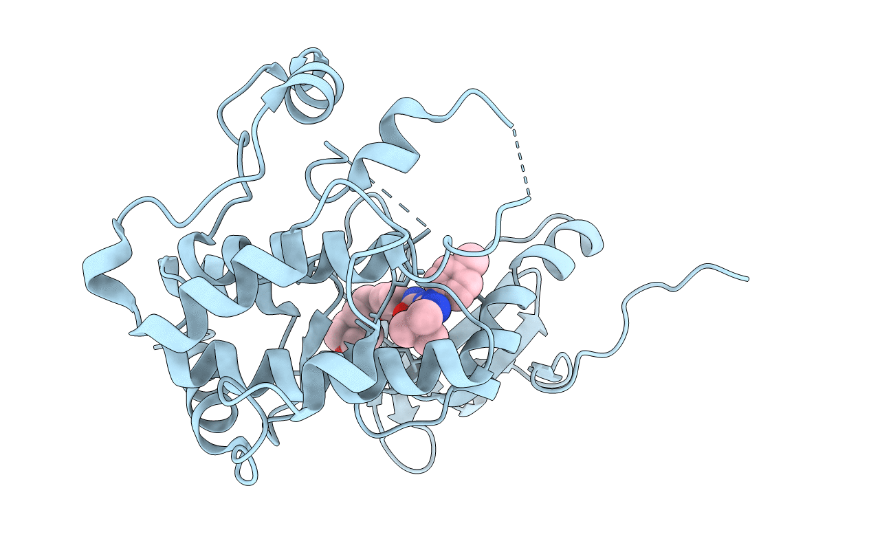 6GTT image