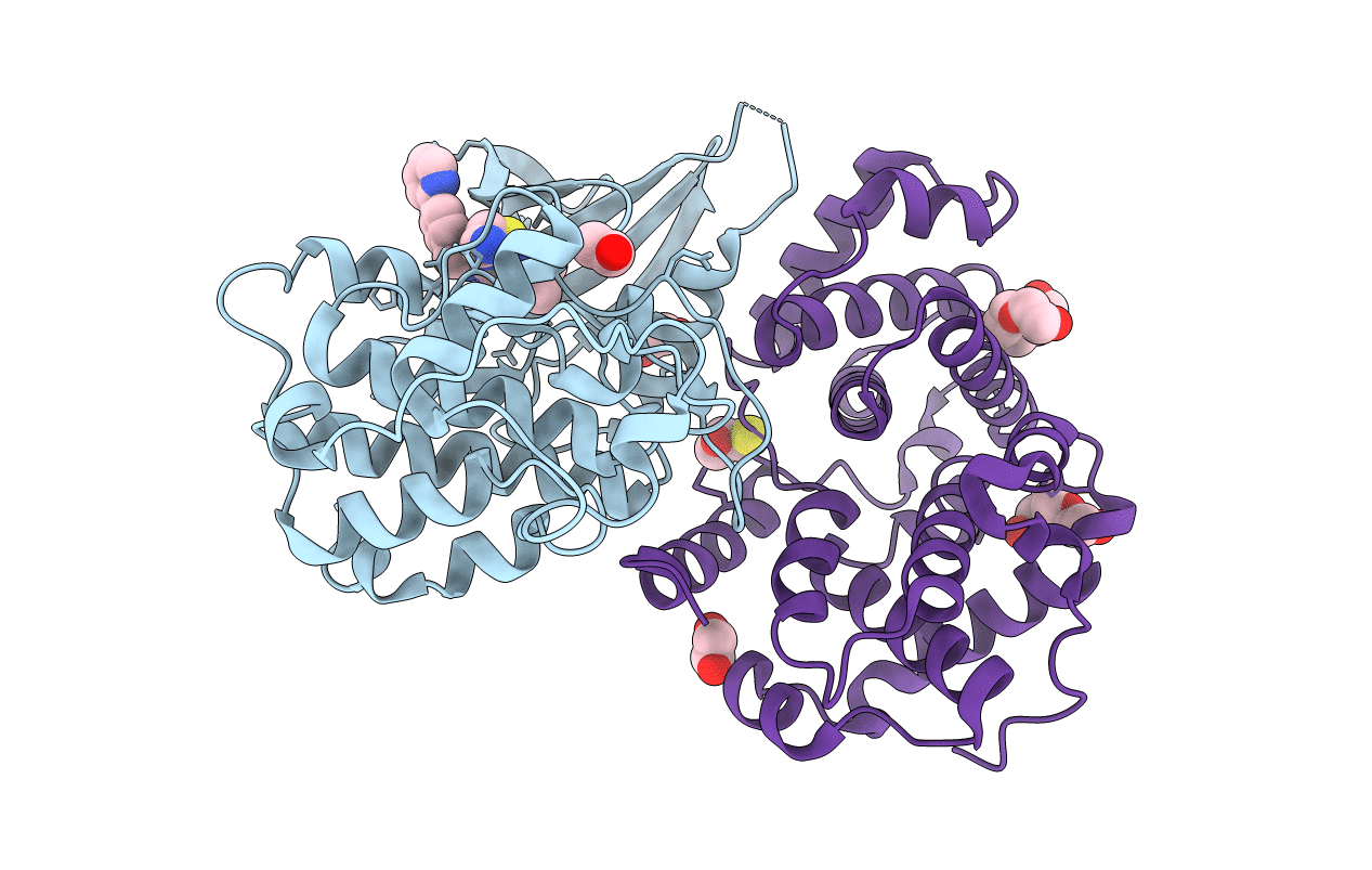 6GVA image