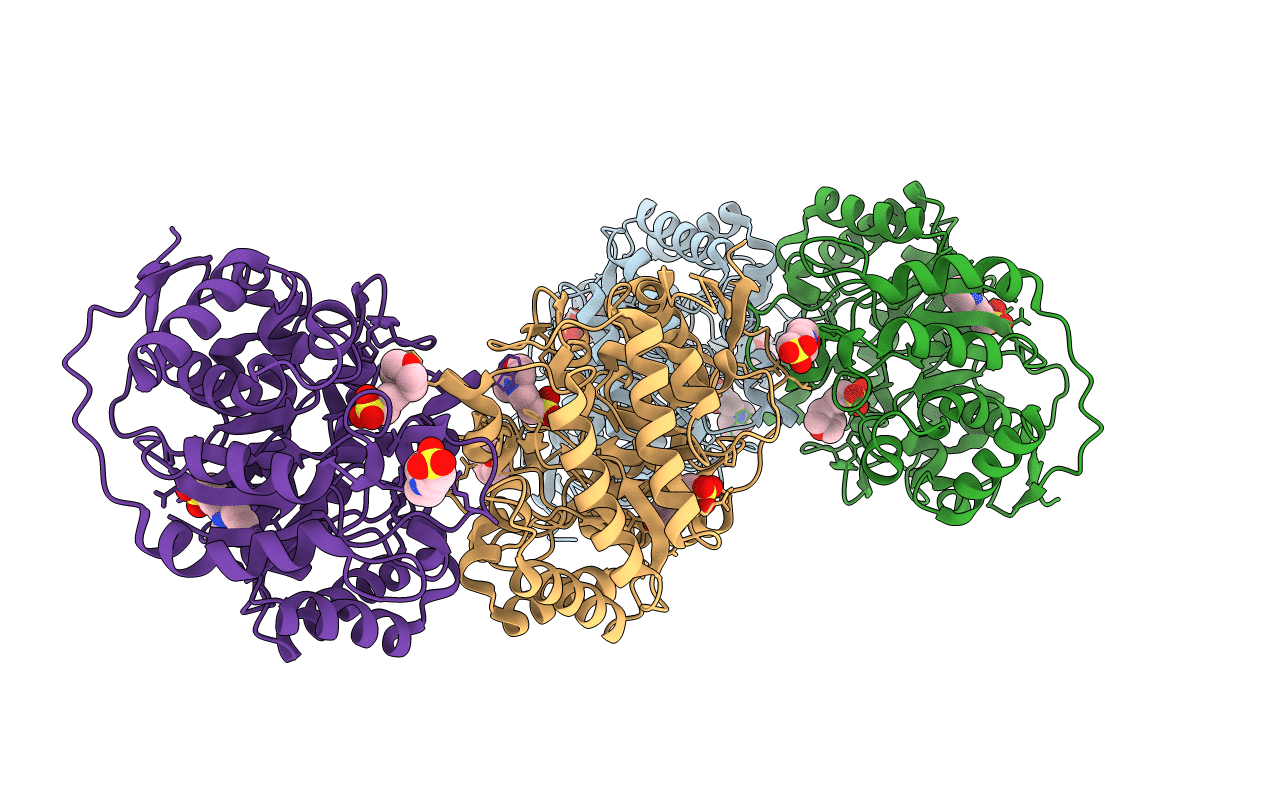 6GVB image