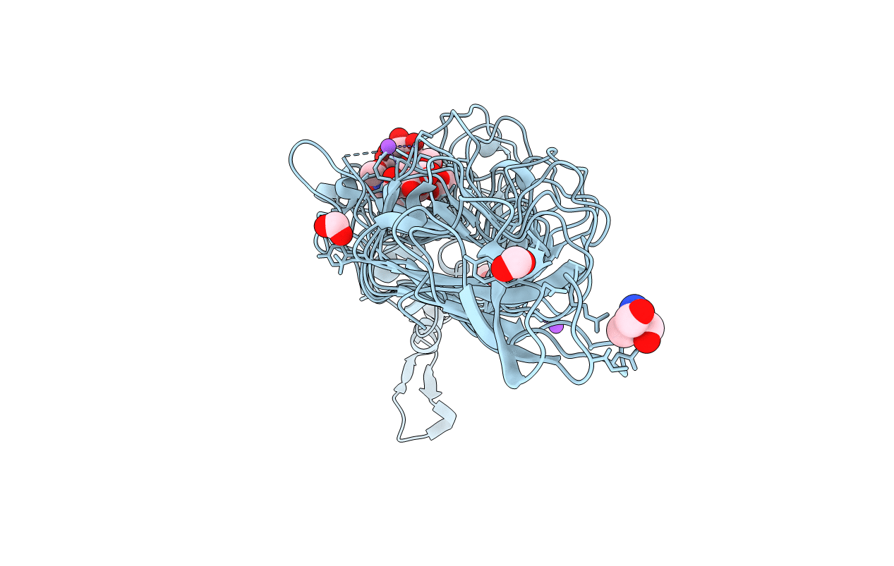 6GVP image