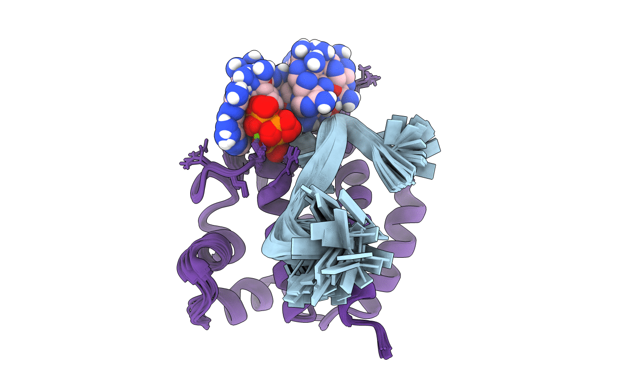 6GVT image