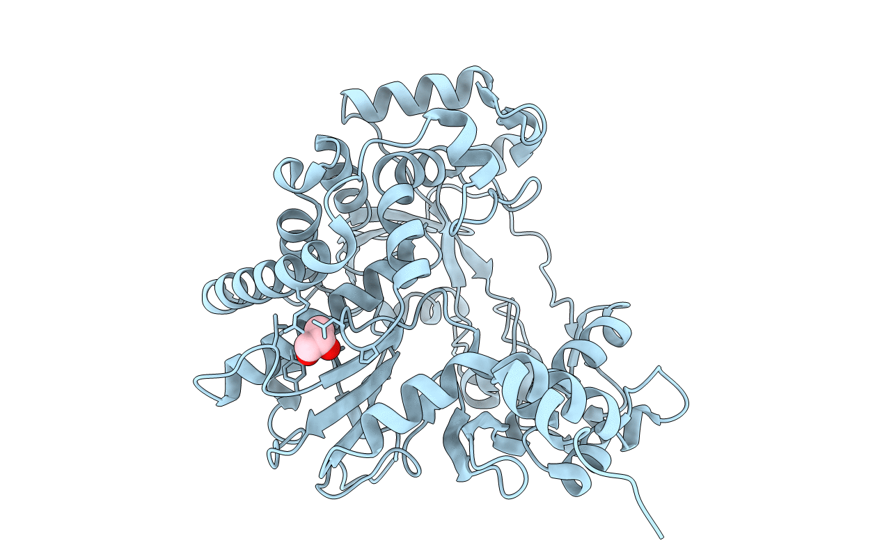 6GVV image