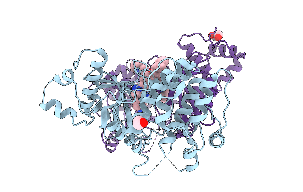 6GVX image