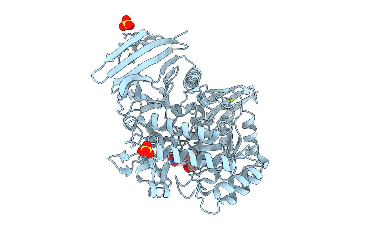 6GWF image