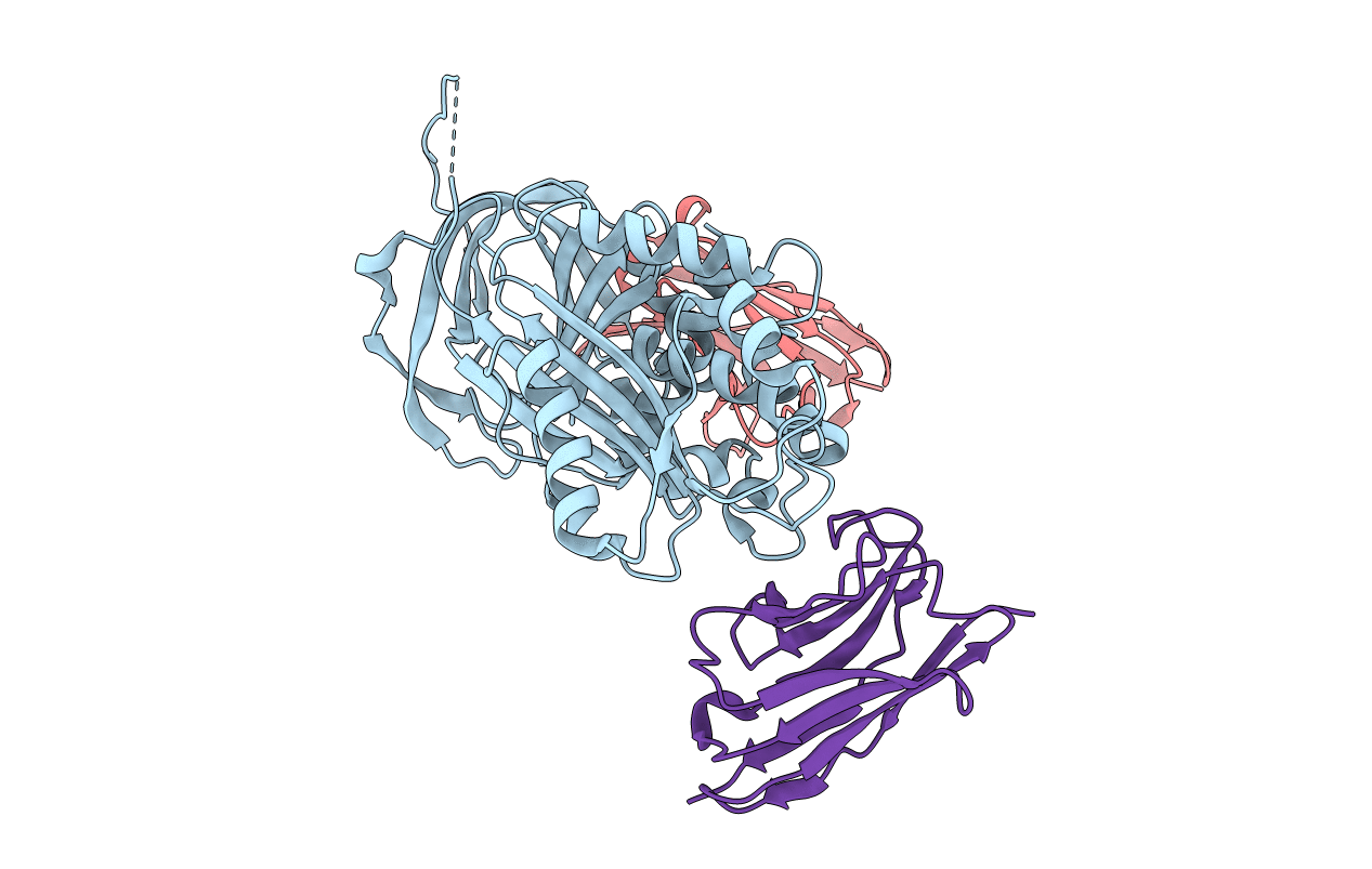 6GWP image