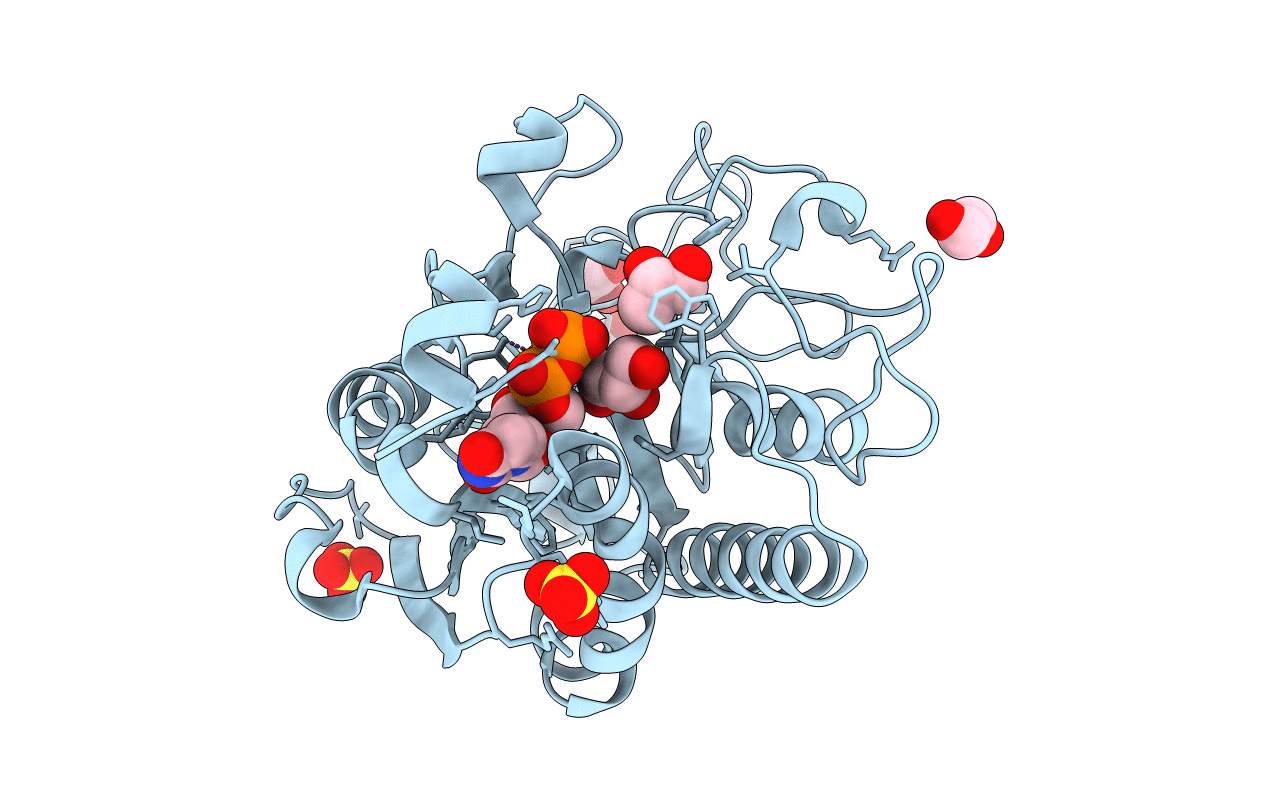 6GX2 image