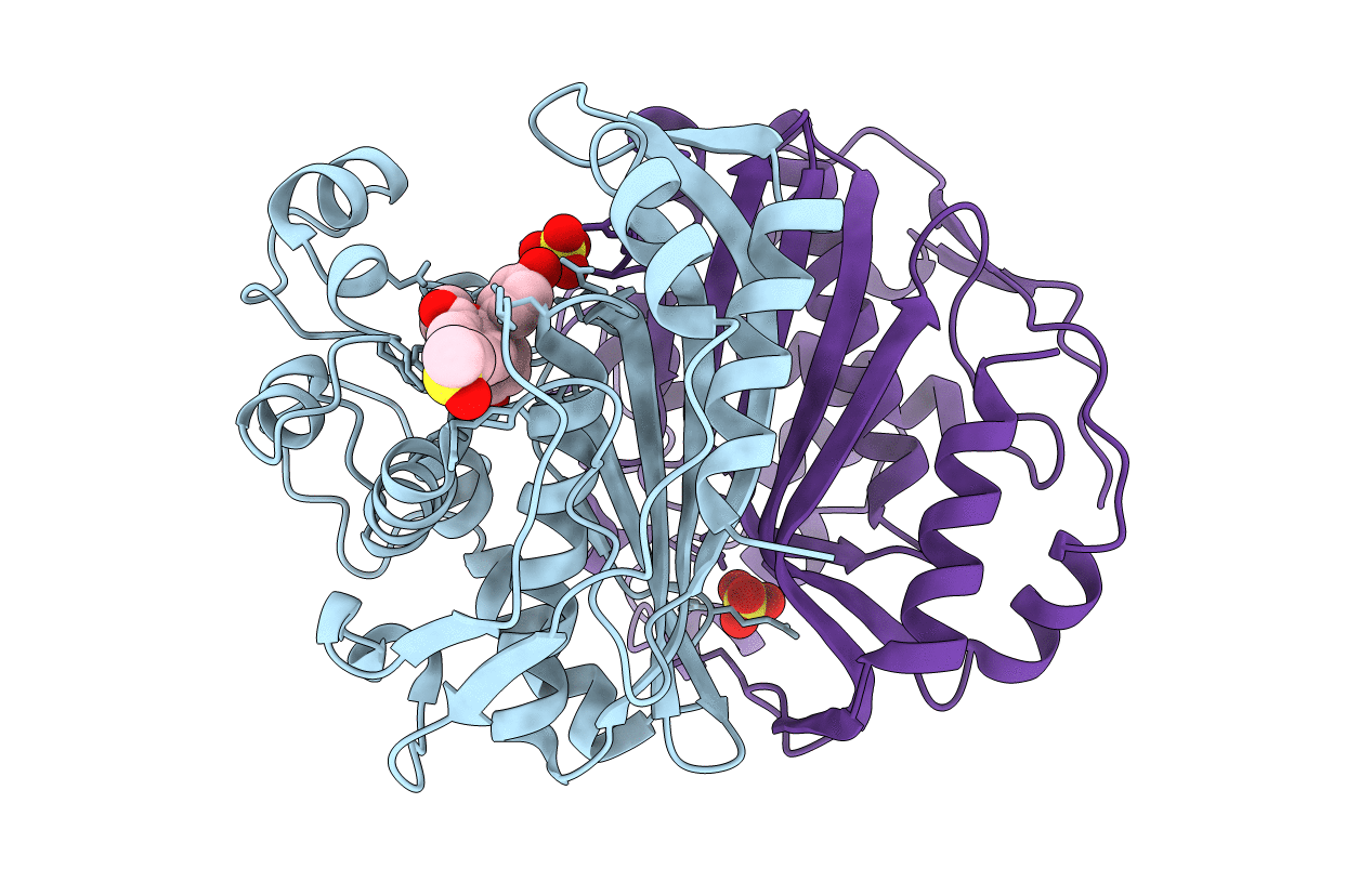 6GYJ image