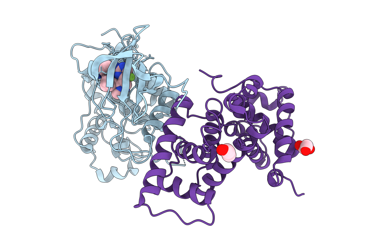 6GZH image