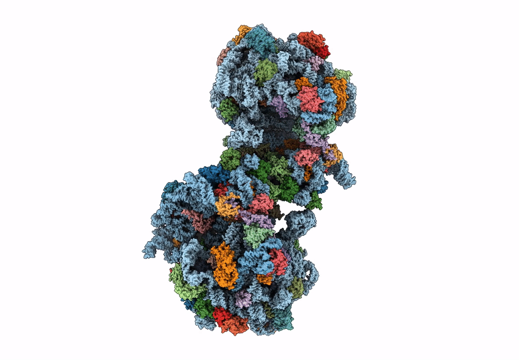 6GZZ image